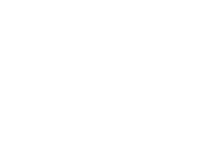 partner-logo-5
