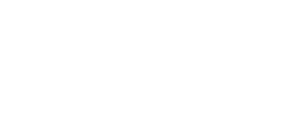 partner-logo-4