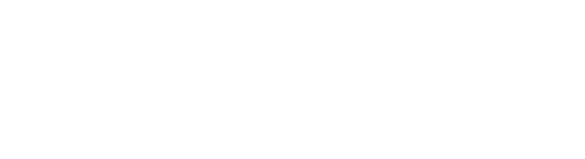 partner-logo-2