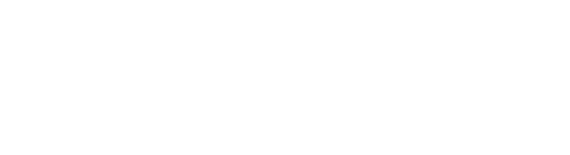 partner-logo-2