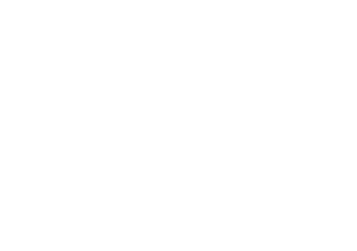 partner-logo-5